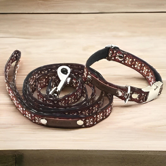 Finnigan's Bespoke Pup Collar Set - Finnigan's Play Pen