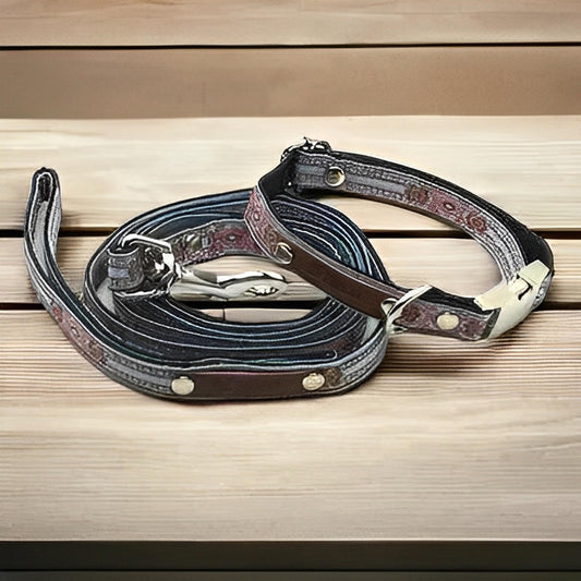 Finnigan's Designer Delight Dog Collar Set - Finnigan's Play Pen
