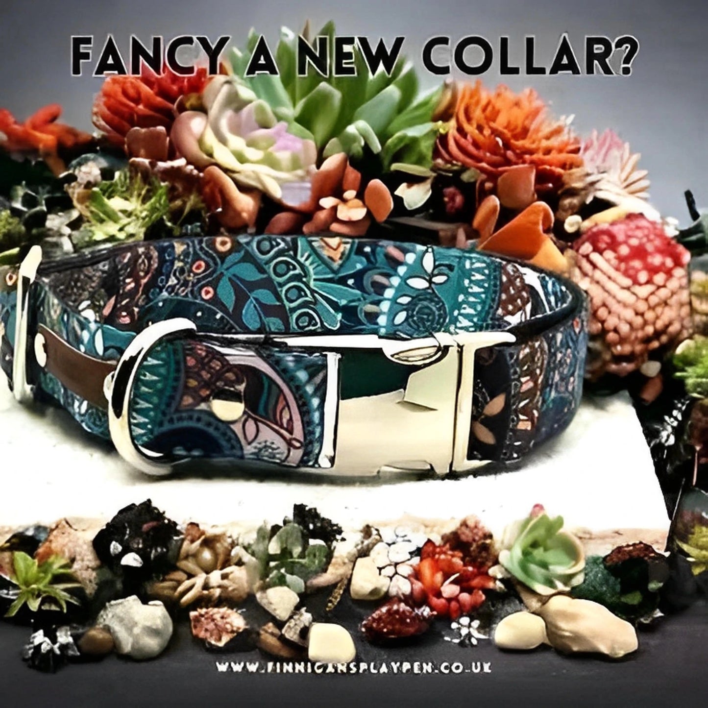 Finnigan's Durable Designer Dog Collar No. 5l - Finnigan's Play Pen