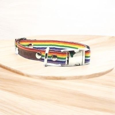 Finnigan's Love Luxury Pup Lead - Finnigan's Play Pen