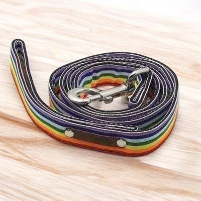 Finnigan's Love Luxury Pup Lead - Finnigan's Play Pen
