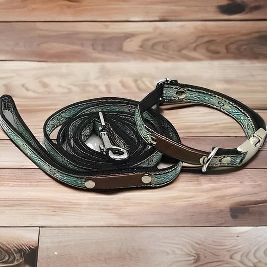 Finnigan's Pampered Pup Collar Set with Custom Engraving - Finnigan's Play Pen