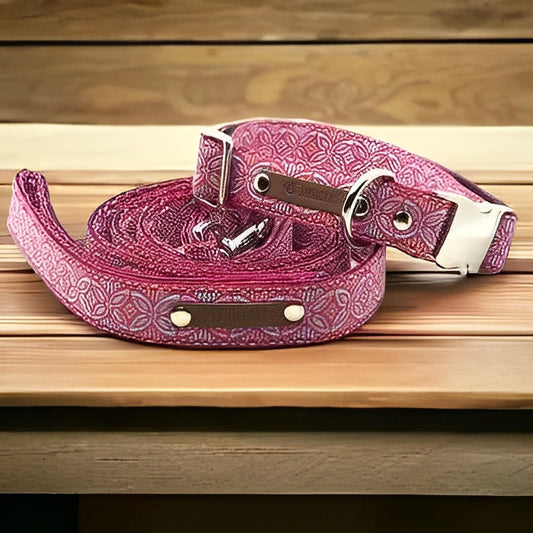 Finnigan's Regal Designer Dog Collar Set - Finnigan's Play Pen