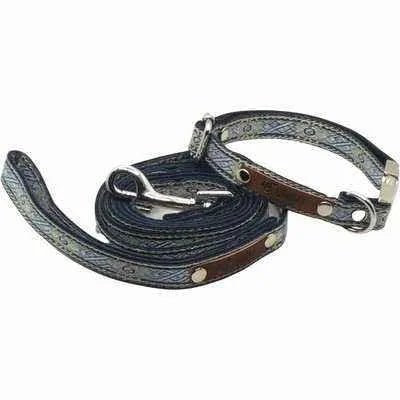 Finnigan's "The Archie" Whimsy & Strength Dog Lead - Finnigan's Play Pen