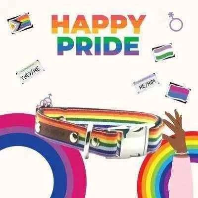 Love is Love Finnigan Designer Dog Collar