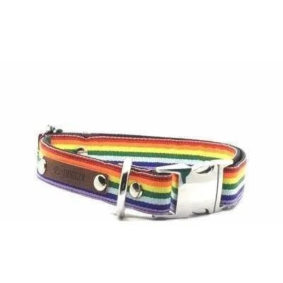 Love is Love Finnigan Designer Dog Collar - Finnigan's Play Pen