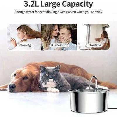 Magical Stainless Steel Cat Fountain - Finnigan's Play Pen