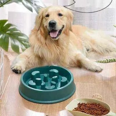 Pawesome Plastic Pick Dog Bowl - Finnigan's Play Pen