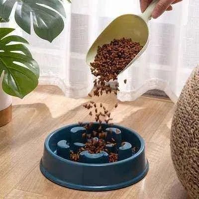 Pawesome Plastic Pick Dog Bowl - Finnigan's Play Pen