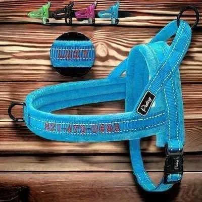 Personalised Luxury Dog Harness by Opulent Paws - Finnigan's Play Pen