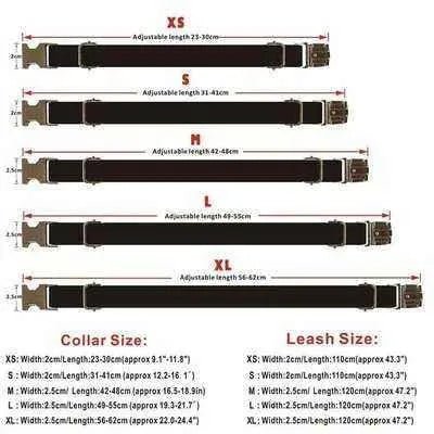 Personalised Pet Collar with Engraved Name - Finnigan's Play Pen
