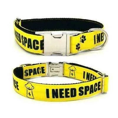 Personalised Pet Collar with Engraved Name - Finnigan's Play Pen