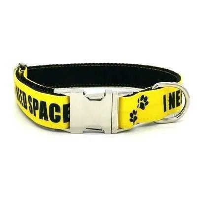 Personalised Pet Collar with Engraved Name - Finnigan's Play Pen