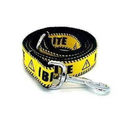 Personalised Pet Collar with Engraved Name - Finnigan's Play Pen