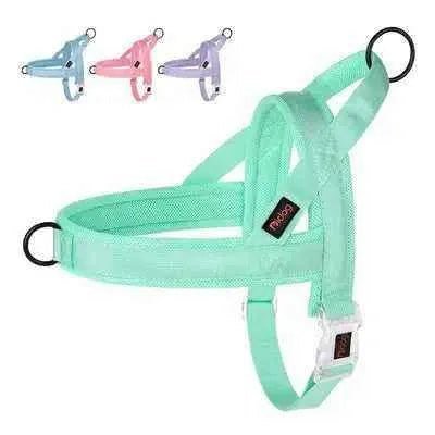 Regal Comfort Padded Nylon Dog Harness - Finnigan's Play Pen