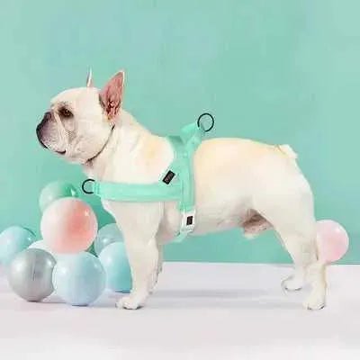 Regal Comfort Padded Nylon Dog Harness - Finnigan's Play Pen