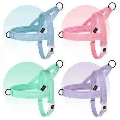 Regal Comfort Padded Nylon Dog Harness - Finnigan's Play Pen