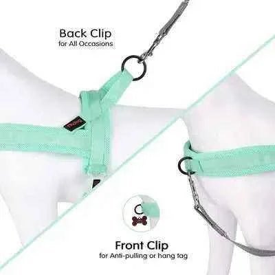 Regal Comfort Padded Nylon Dog Harness - Finnigan's Play Pen
