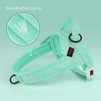 Regal Comfort Padded Nylon Dog Harness - Finnigan's Play Pen