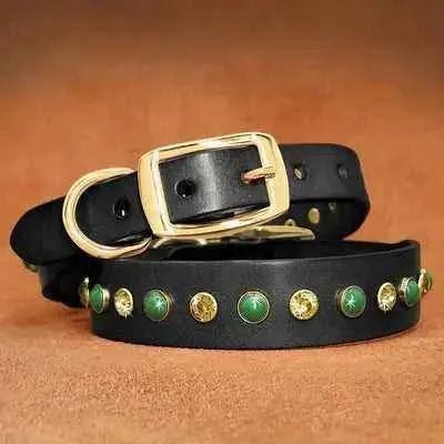 Regal Diamonds Leather Pet Dog Collar š¶ - Finnigan's Play Pen