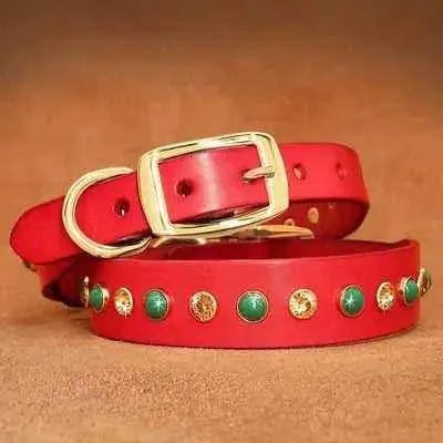 Regal Diamonds Leather Pet Dog Collar š¶ - Finnigan's Play Pen