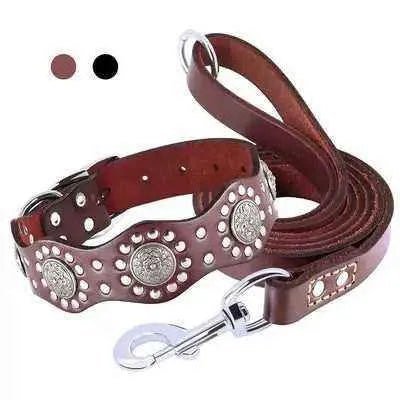 Regal Leather Dog Collar & Lead Set - Finnigan's Play Pen