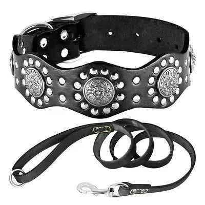 Regal Leather Dog Collar & Lead Set