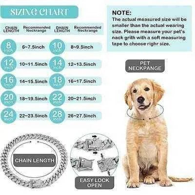 Regal Paws Elite Jewelled Pet Collar - Finnigan's Play Pen