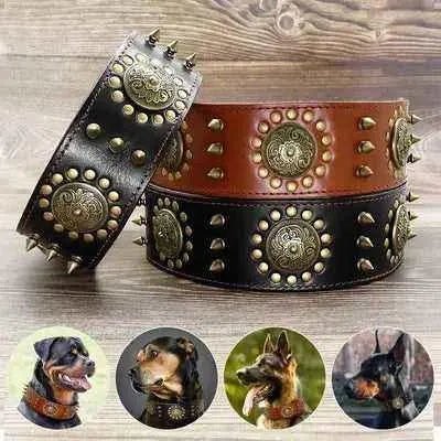 Regal Paws Rugged Chic Leather Dog Collar - Finnigan's Play Pen