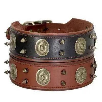 Regal Paws Rugged Chic Leather Dog Collar - Finnigan's Play Pen