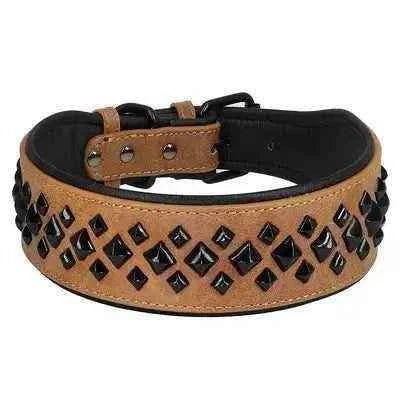 Rockstar Red Padded Leather Stud Dog Collar for Medium Breeds