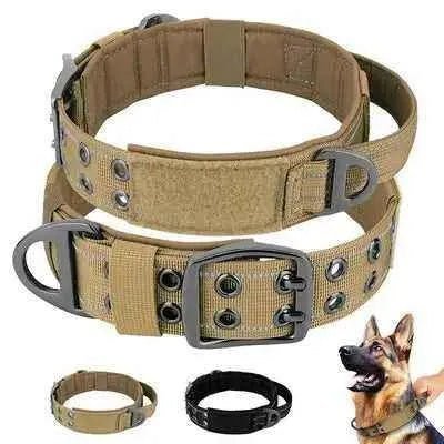 Royal Canine Elegance Tactical Dog Training Collar - Finnigan's Play Pen