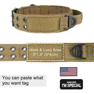 Royal Canine Elegance Tactical Dog Training Collar - Finnigan's Play Pen