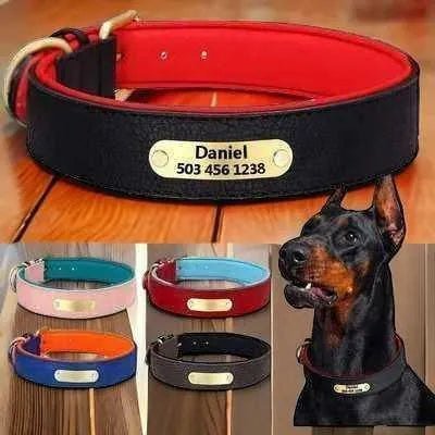 Royal Paws Personalised Leather Dog Collar - Finnigan's Play Pen