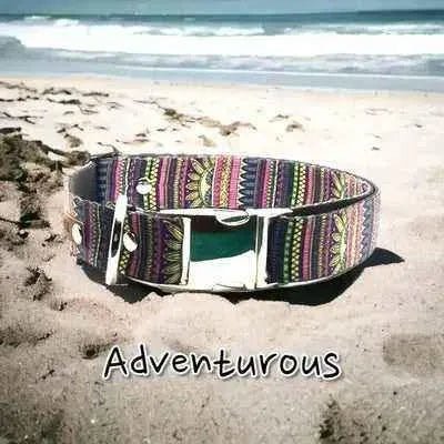 Stylish and Durable Large Dog Collar by Finnigan's - Finnigan's Play Pen