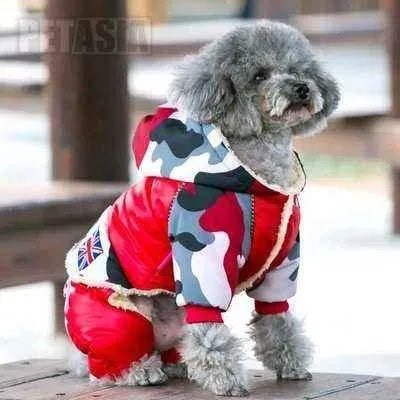 Stylish Camo Chic Winter Dog Jacket - Finnigan's Play Pen