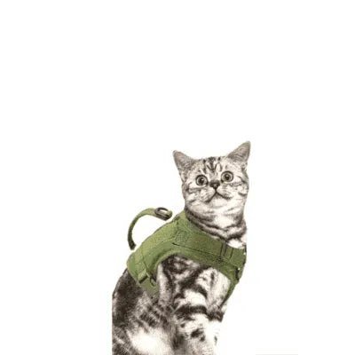 Tactical Nylon Cat Harness - Finnigan's Play Pen