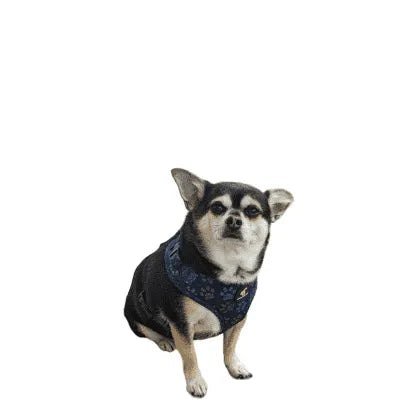 Tactical Nylon Cat Harness - Finnigan's Play Pen
