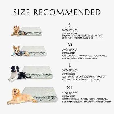 Divine Comfort Plush Paradise Pet Bed