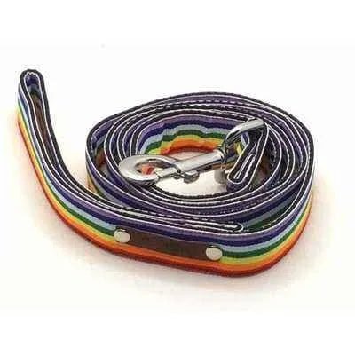 Wholesale Love is Love Finnigan Designer Dog Lead - Finnigan's Play Pen