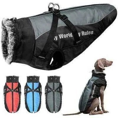 Arctic Paws Winter Majesty Dog Vest - Finnigan's Play Pen