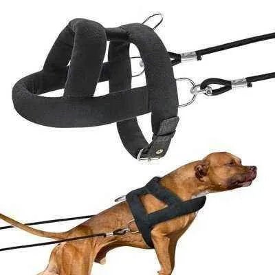 Big & Strong Dog Training Harness & Leash Set - Finnigan's Play Pen