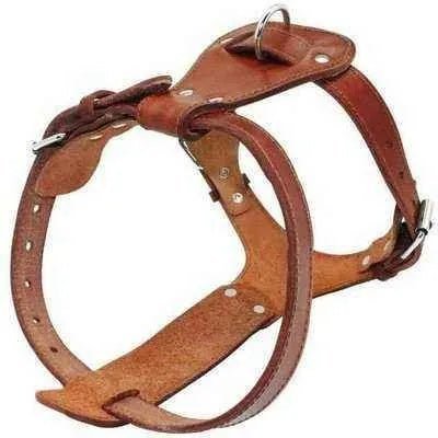 Brown Leather Dog Harness: Stylish Comfort for Elegant Pets - Finnigan's Play Pen