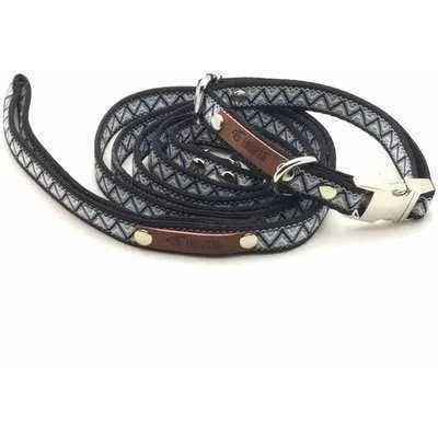 Chic Pooch Handcrafted Lead: Enchanted Designer Dog Lead