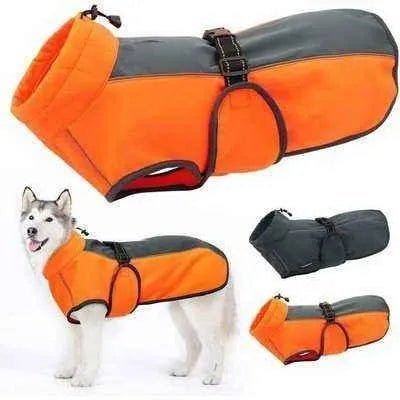Cosy & Waterproof Royal Canine Winter Coat š¾ - Finnigan's Play Pen