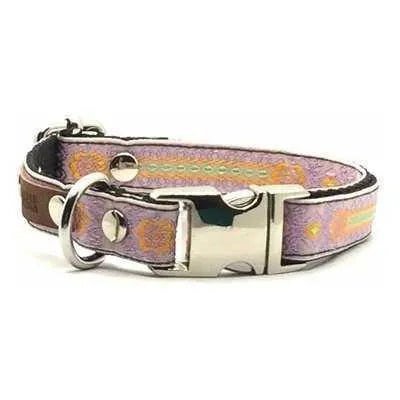 Designer Doggo Delight Set: Engraved Buckle Collar - Finnigan's Play Pen
