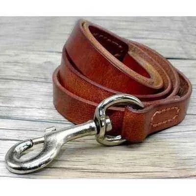 Didog Stylish Leather Dog Leash - Finnigan's Play Pen