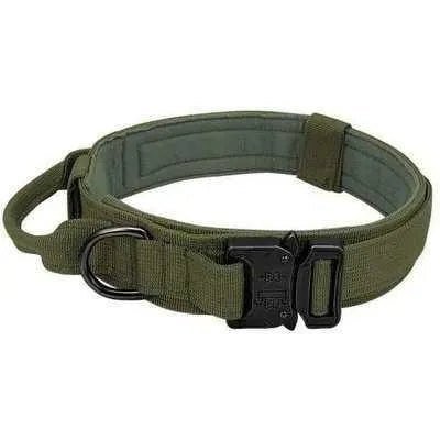 Elite Guardian Military Dog Collar & Bungee Leash Set - Finnigan's Play Pen