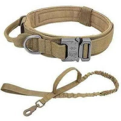 Elite Guardian Military Dog Collar & Bungee Leash Set - Finnigan's Play Pen