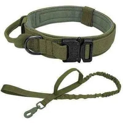 Elite Guardian Military Dog Collar & Bungee Leash Set - Finnigan's Play Pen